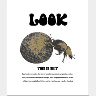 dung beetle Posters and Art